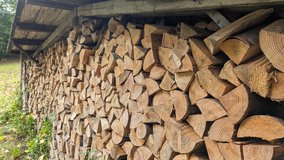 Firewood (mixed wood) in Ramstein, Germany