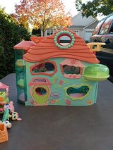 LPS PLAYHOUSE, PETS AND ACCESSORIES in Plainfield, Illinois