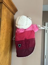 Dog Coat in 29 Palms, California