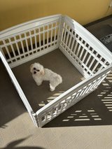 pet fence/ playpen in Okinawa, Japan
