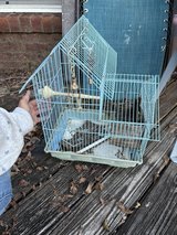 Bird cage in Warner Robins, Georgia
