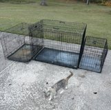 Dog kennels! in Warner Robins, Georgia