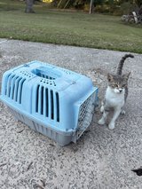 Pet carrier in Warner Robins, Georgia