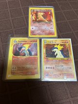Typhlosions in Okinawa, Japan