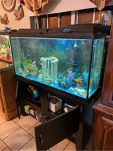 aquarium 60 gal & stand in Leesville, Louisiana