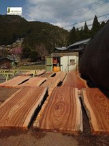 Live Edge Exotics Wood, Timber wood Available Qualities in Okinawa, Japan