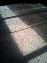 10X12 carpet in Byron, Georgia