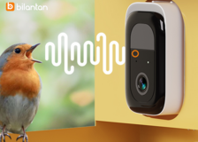 wifi bird feeder two way audio in Montgomery, Alabama