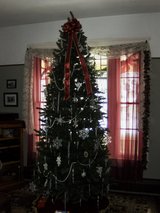 6' slim tree in Glendale Heights, Illinois