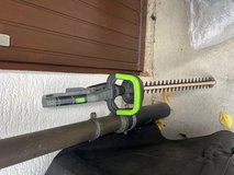 Lux electric hedge trimmer in Stuttgart, GE