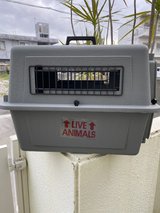 Pet crate in Okinawa, Japan