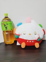 Stuffed Toy / Plush - Wan Wan & Po Po Sleeping Soundly in Okinawa, Japan