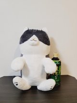 Stuffed Toy / Plush - Aomuke Inu & Neko in Okinawa, Japan