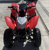2020 Honda TRX 250X in Alamogordo, New Mexico