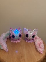 Pixie Belles (2) in Okinawa, Japan