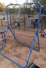 baseball practice net in Alamogordo, New Mexico