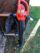 Electric leaf blower in Ramstein, Germany