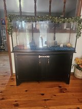 Aquarium and Cabinet in Cadiz, Kentucky