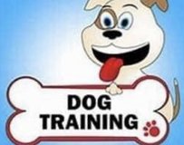 NOVEMBER GROUP OBEDIENCE CLASS in Camp Lejeune, North Carolina