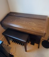 Electric Organ in Okinawa, Japan