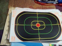 40+ targets in Byron, Georgia