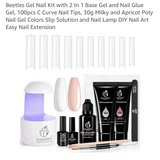 Beetles in Byron, Georgia