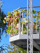 Nice Apartment for rent  13mls from Grafenwöhr in Grafenwoehr, GE