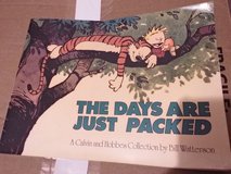 Calvin and Hobbes comic in Beaufort, South Carolina