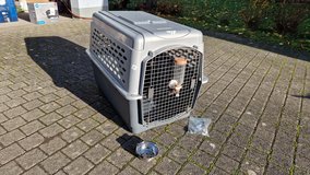 Large Dog Shipping Crate in Ramstein, Germany