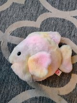 2000 Ty Coral the Fish in Alamogordo, New Mexico