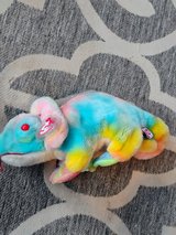 1999 Ty Rainbow the Chaneleon in Alamogordo, New Mexico