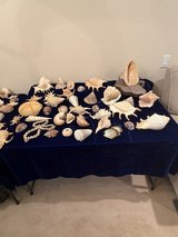 Peek #10 in Alamogordo, New Mexico