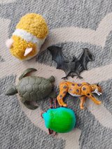 animals in Alamogordo, New Mexico