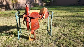 10" Paul Taylor Saddle in Alamogordo, New Mexico