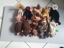 Ty collection in Ramstein, Germany