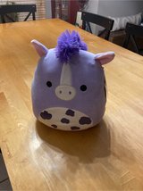 12” squishmallow in Aurora, Illinois