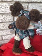 Boyd’s moose in Orland Park, Illinois