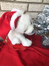 white bear in Bolingbrook, Illinois