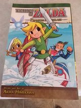 Zelda comic in Beaufort, South Carolina