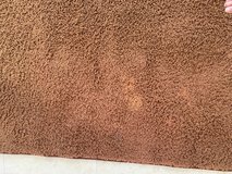 Large brown area rug in Okinawa, Japan