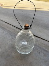 Carpenter Bee Catcher in Byron, Georgia