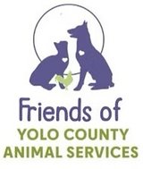 Paint & Sip Shelter Fundraiser in Fairfield, California