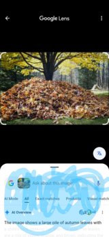 Leafs Wanted,Don't send them to the dump in Alamogordo, New Mexico