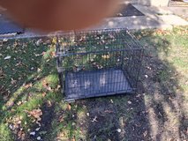 Small dog cage in Chicago, Illinois