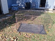 Large dog cage in Chicago, Illinois