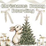 CHRISTMAS BUNNY BOARDING in Perry, Georgia