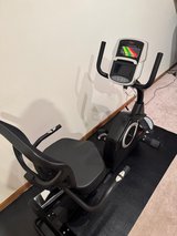Recumbant Bike in Naperville, Illinois