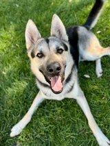 Kenny Lands Back At The Shelter in Fairfield, California