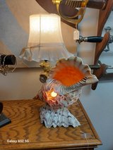 Tiger Conch shell lamp and night light in Fort Leonard Wood, Missouri