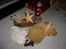 Ocean Lot in Warner Robins, Georgia